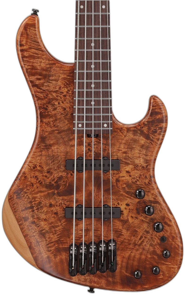 Ibanez MDM1605 Mode 5-String Mocha Low Gloss in 5-String Natural