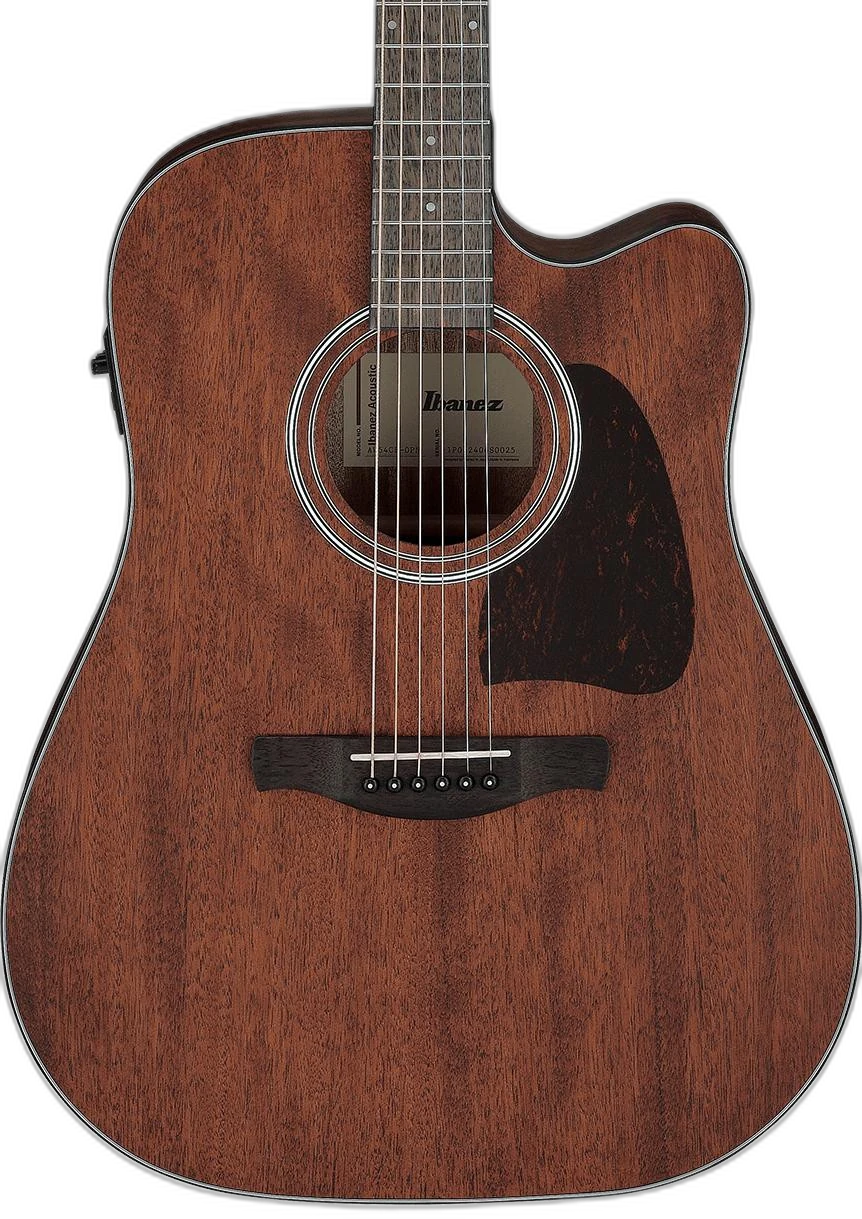 Ibanez AW54CE Open Pore in Natural
