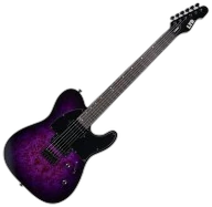 ESP LTD TE-200DX in Burst in TE-200DX Purple