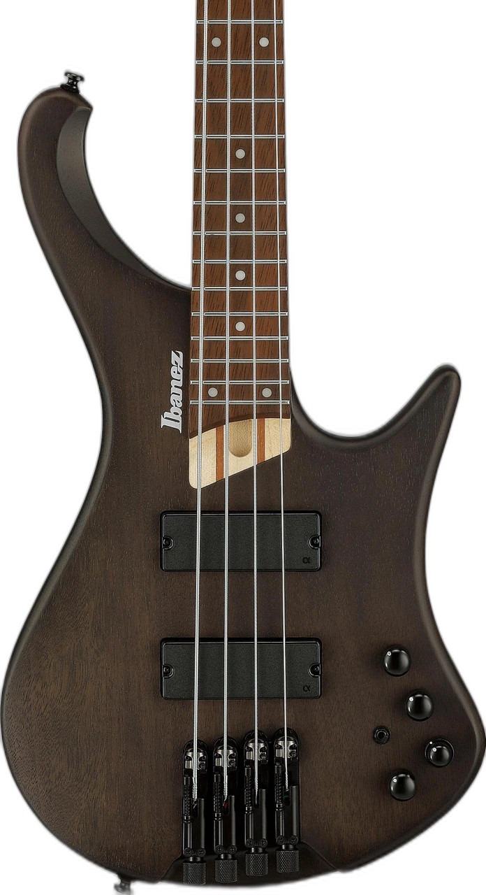 Ibanez EHB600 EHB Series 4 String Bass Flat in Walnut
