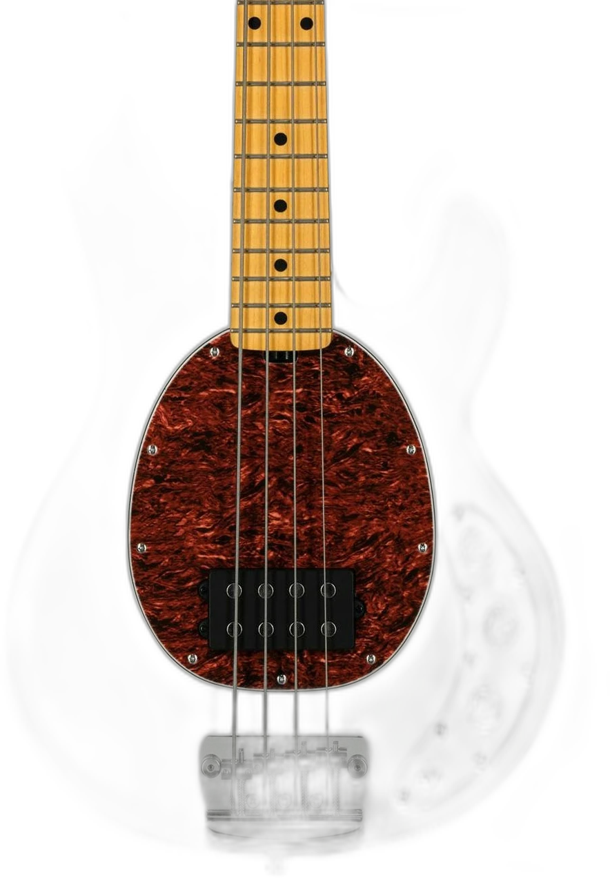 Musicman Classic Stingray in Music Man Sterling RAY24CA Olympic White