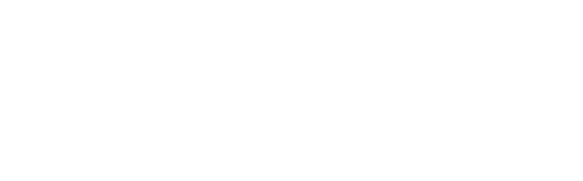 Epiphone