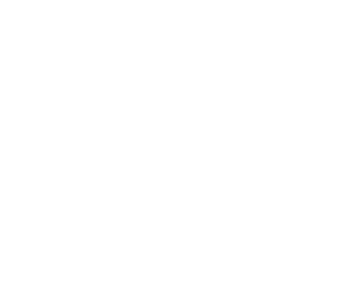 Traveler logo
