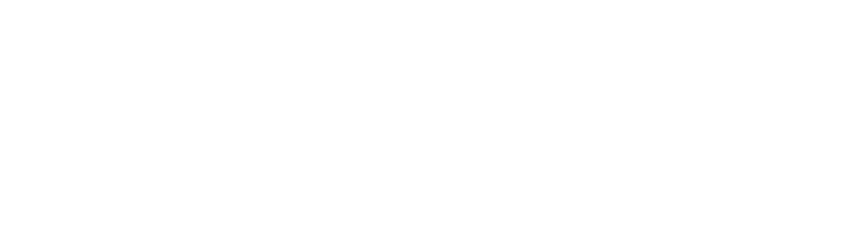 Washburn logo